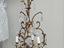 Immagine 6