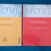 Libri di latino per liceo Einstein