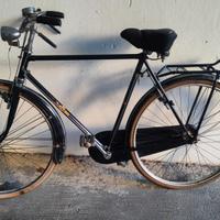 Bici freni a bacchetta regina vintage