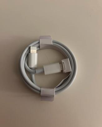 Cavo Apple da Lightning a USB
