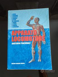 Apparato Locomotore - Anatomia Funzionale