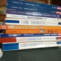 libri medie e superiori 