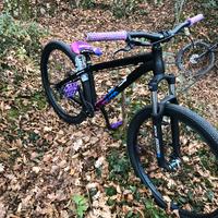 ns bikes zircus 2021
