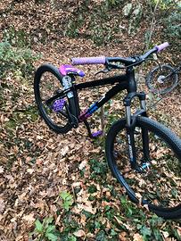 ns bikes zircus 2021