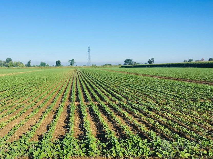 Land, 2670 m²