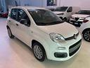 fiat-panda-1-0-firefly-s-s-hybrid-pronta-consegna