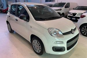 FIAT Panda 1.0 FireFly S&S Hybrid PRONTA CONSEGNA
