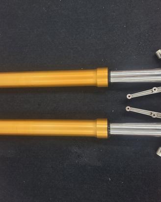 Forcella anteriore Ohlins Ducati Multistrada 1200s