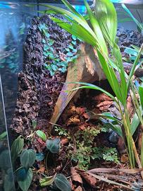 terrario exo terra 45x45x60 