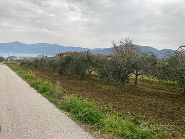 Terreno 2100mt agrigolo con 2 pozzi e oliveto
