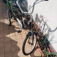 triciclo per adulti 