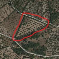 Terreno + locale magazzino 18.300 euro trattabili