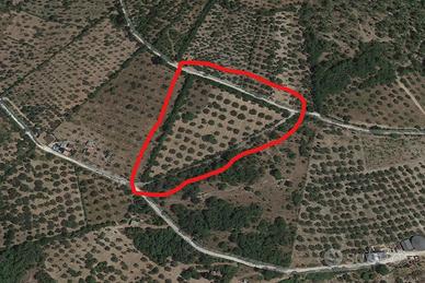 Terreno + locale magazzino 18.300 euro trattabili