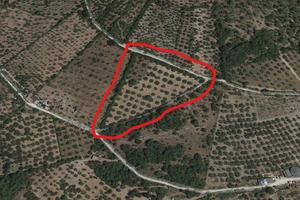 Terreno + locale magazzino 18.300 euro trattabili