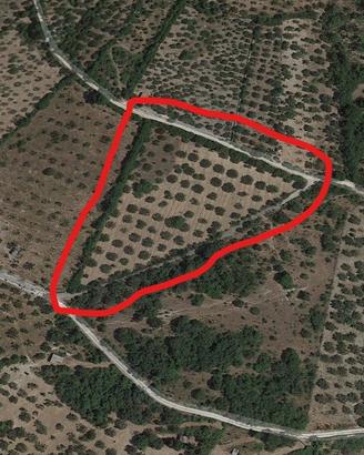 Terreno + locale magazzino 18.300 euro trattabili