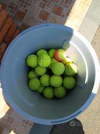 50 palline da tennis 