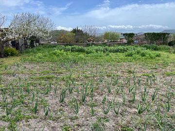 Terreno con rustico loc. Caghettu