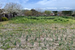 Terreno con rustico loc. Caghettu