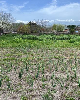 Terreno con rustico loc. Caghettu
