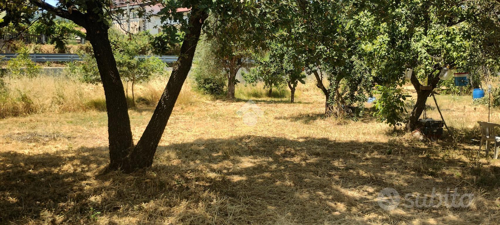 TER. RESIDENZIALE A MARANO PRINCIPATO - Vista 6