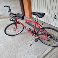bicicletta mountain bike
