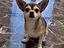 Immagine 4