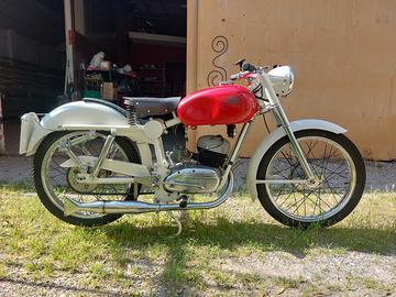 Altro Altro modello - 1951