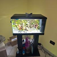 Acquario 2 led ciano 58l con mobiletto