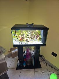Acquario 2 led ciano 58l con mobiletto