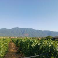 Suolo URBANO ed AGRICOLO