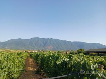 Suolo URBANO ed AGRICOLO