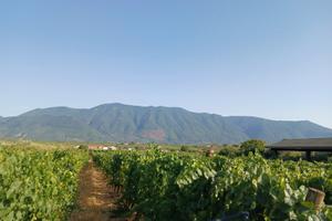 Suolo URBANO ed AGRICOLO