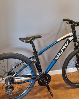 bicicletta olmo