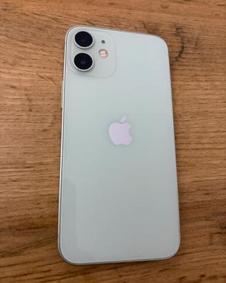 iPhone 12 Mini 256GB Verde/Salvia – Pari al Nuovo!