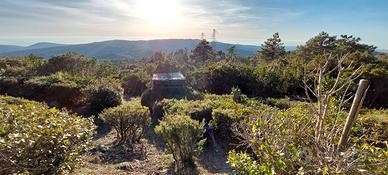 Appostamento fisso capanno