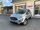 ford-ecosport-1-5-ecoblue-100-cv-s-s-business