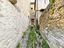 Immagine 22