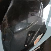 cupolino fz1 e pultale 