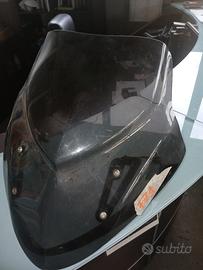 cupolino fz1 e pultale 