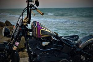 harley-davidson springer cross bones old scool