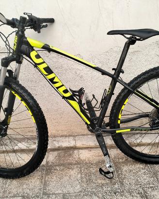 MTB olmo 29 