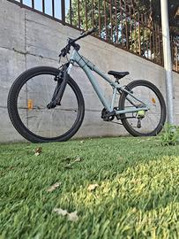 bicicletta
