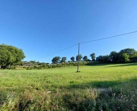 Umbria centrale terreno agricolo e piccolo uliveto