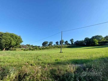 Umbria centrale terreno agricolo e piccolo uliveto