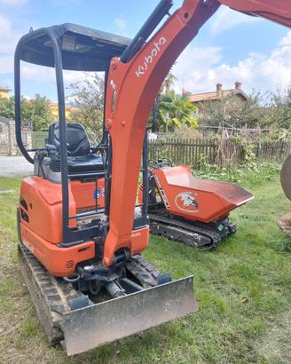Miniescavatore Kubota