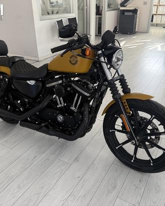 Harley Davidson Iron 883 2019