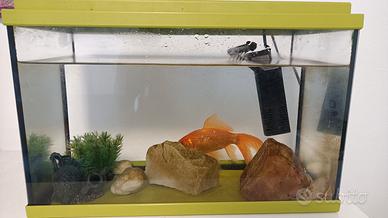 acquario 40 x 20 x 25 cm