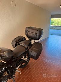 Borse e Bauletto moto