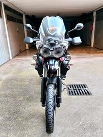 Tiger Triumph 800 XC special edition