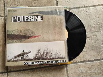 disco musicale in vinile